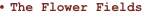 shapeimage_3_link_17